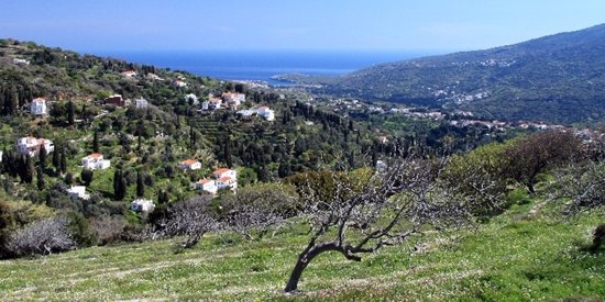 come_to_andros