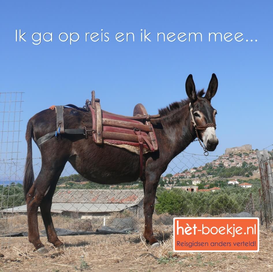 Anneke Kamerling onderweg