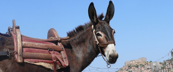 het typisch Grieks boekje